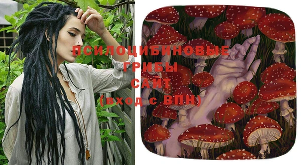 apvp Зеленокумск