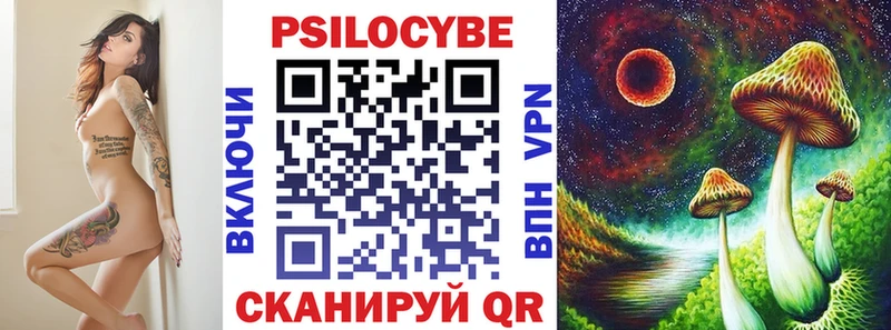 Купить  Новохопёрск  Псилоцибиновые грибы Psilocybine cubensis 